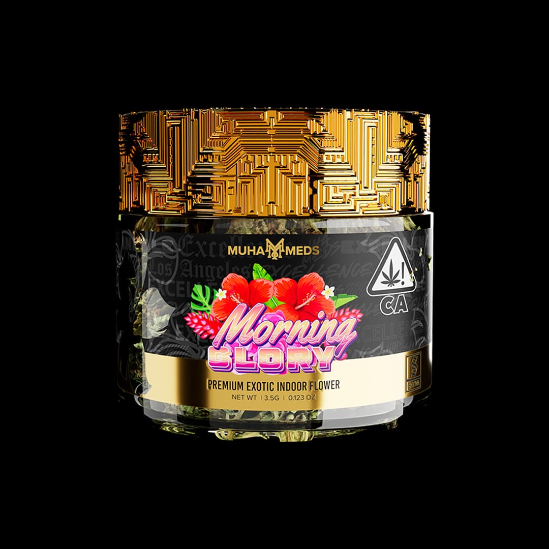 Morning Glory